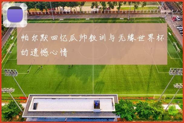帕尔默回忆瓜帅教训与无缘世界杯的遗憾心情